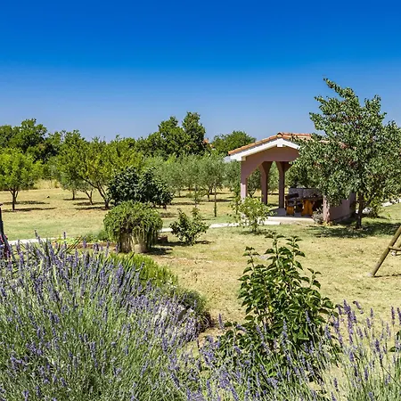 Διαμέρισμα Gradina *